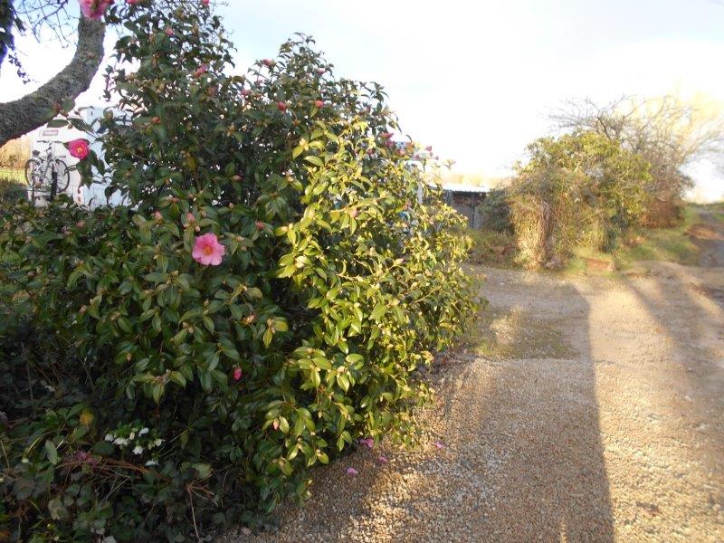 2 – CHEMIN 2