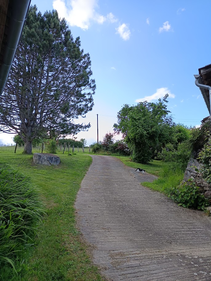 CHEMIN CIMENT EN MONTEE